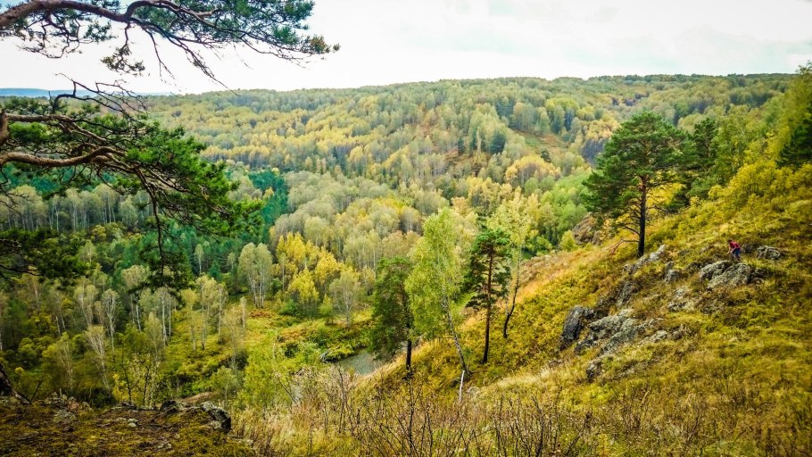 Березовские скалы Маслянинский
