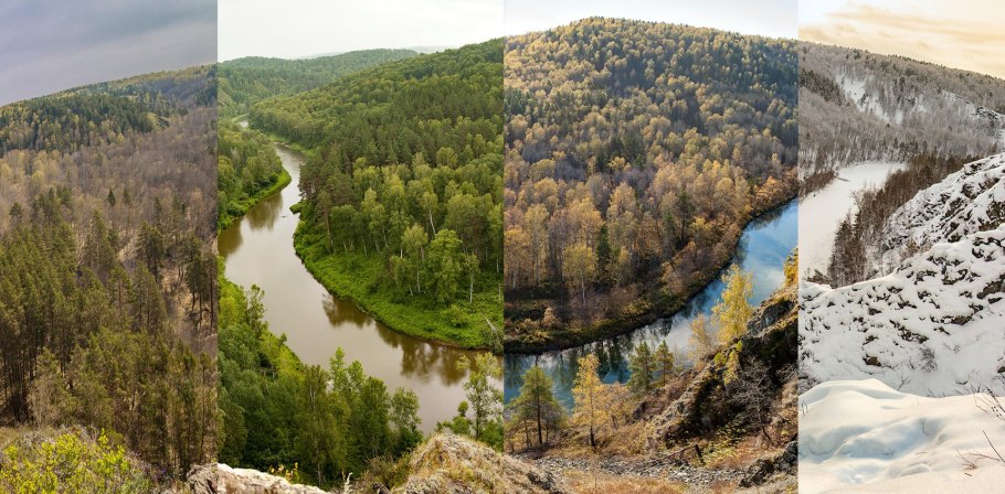 Скала зверобой Бердские скалы