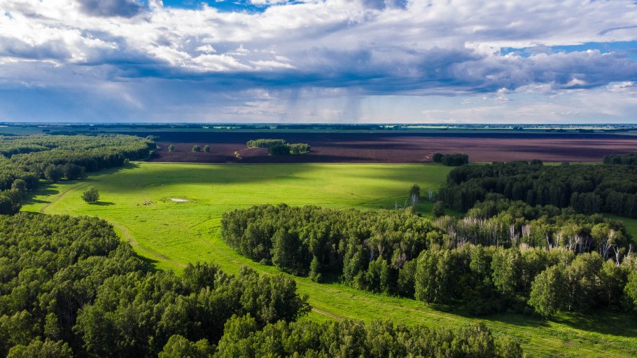Равнины Новосибирской области