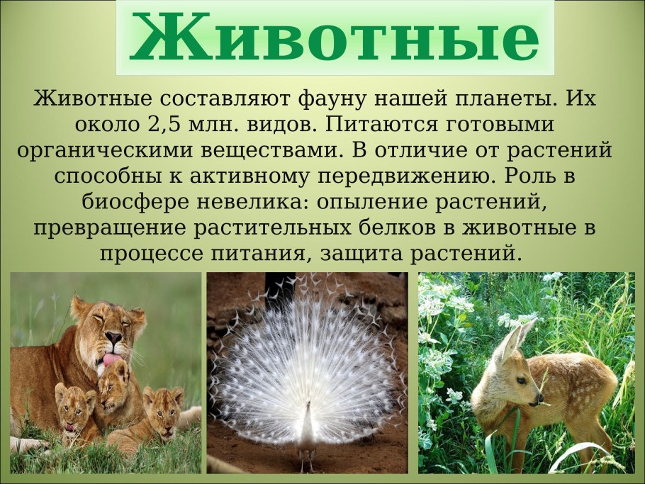 Биологические животные