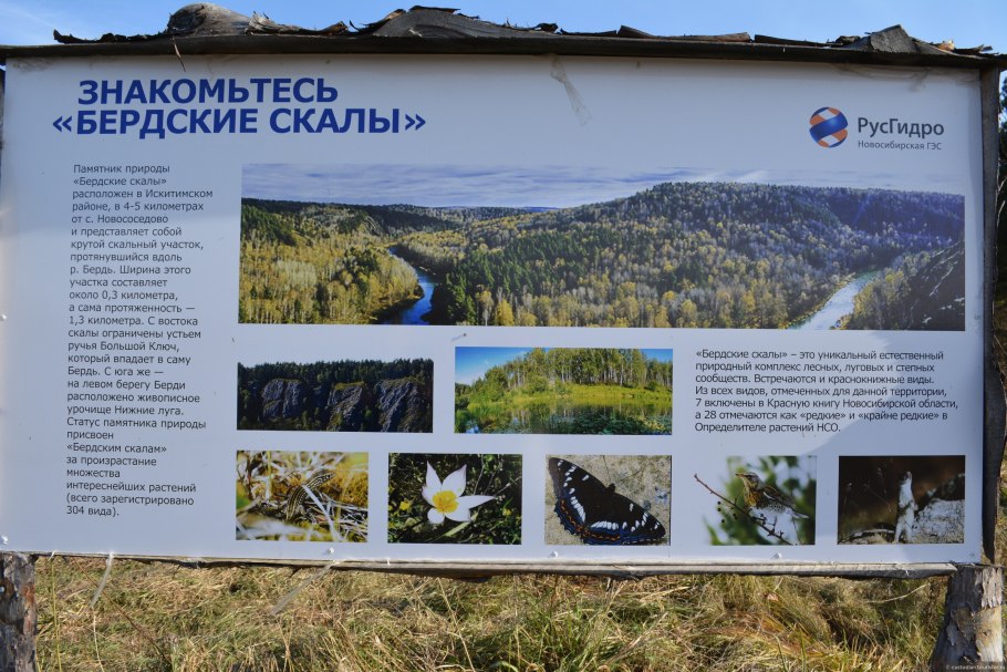Бердские скалы смотровая площадка