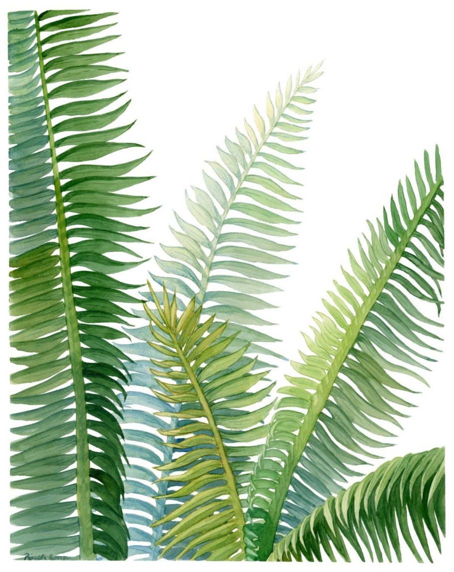 Тропические листья акварелью