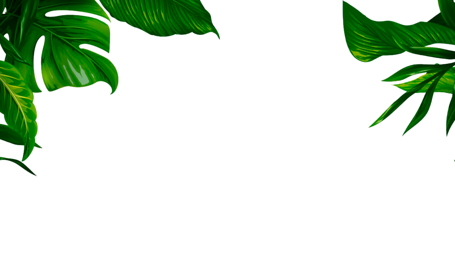 Тропические листья на прозрачном фоне