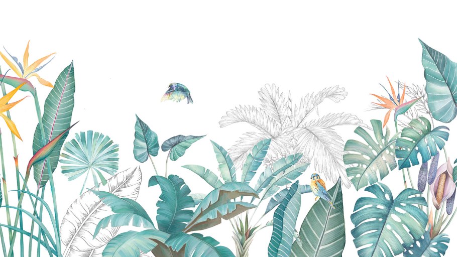 Тропики на белом фоне