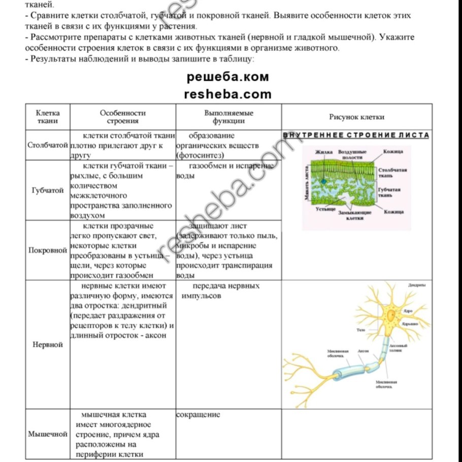 Льнянка Плешаков проверочные работы