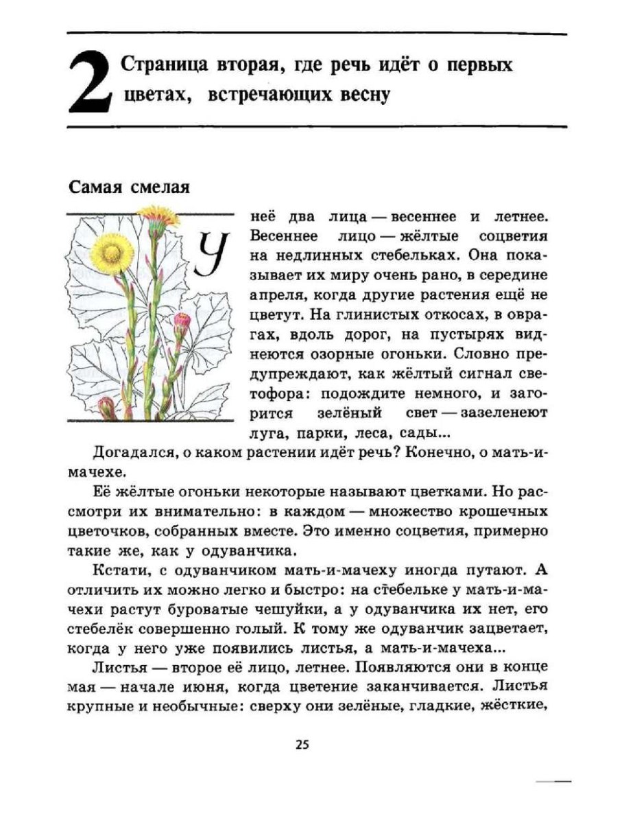 Строение цветковых растений