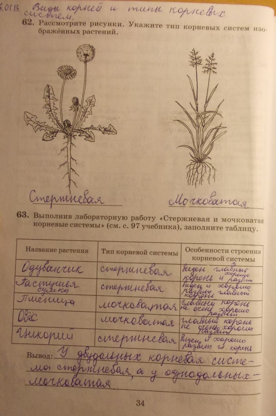 Зеленые страницы мать и мачеха