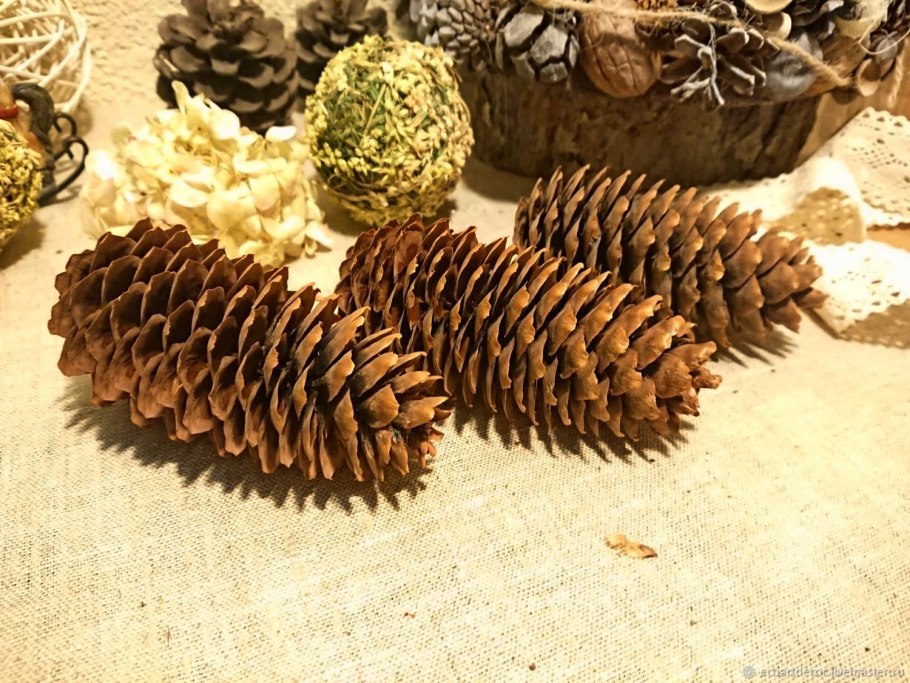 Поделки с шишками