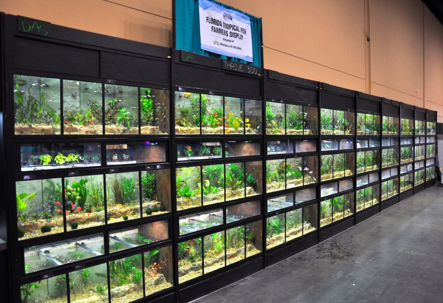 Разводня аквариумных растений