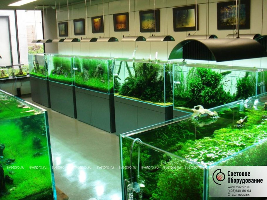 Живой уголок с аквариумом