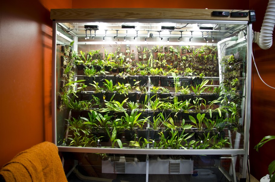 Аквариум в оранжерее