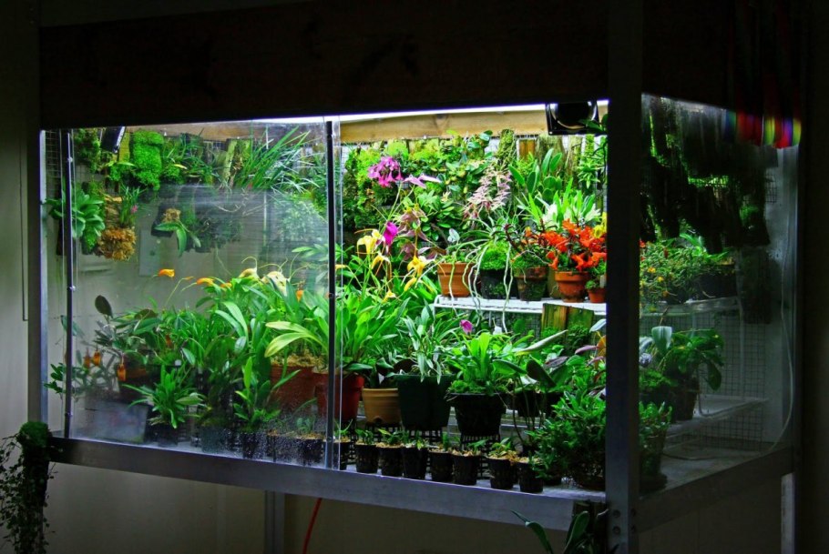 Орхидариум в аквариуме