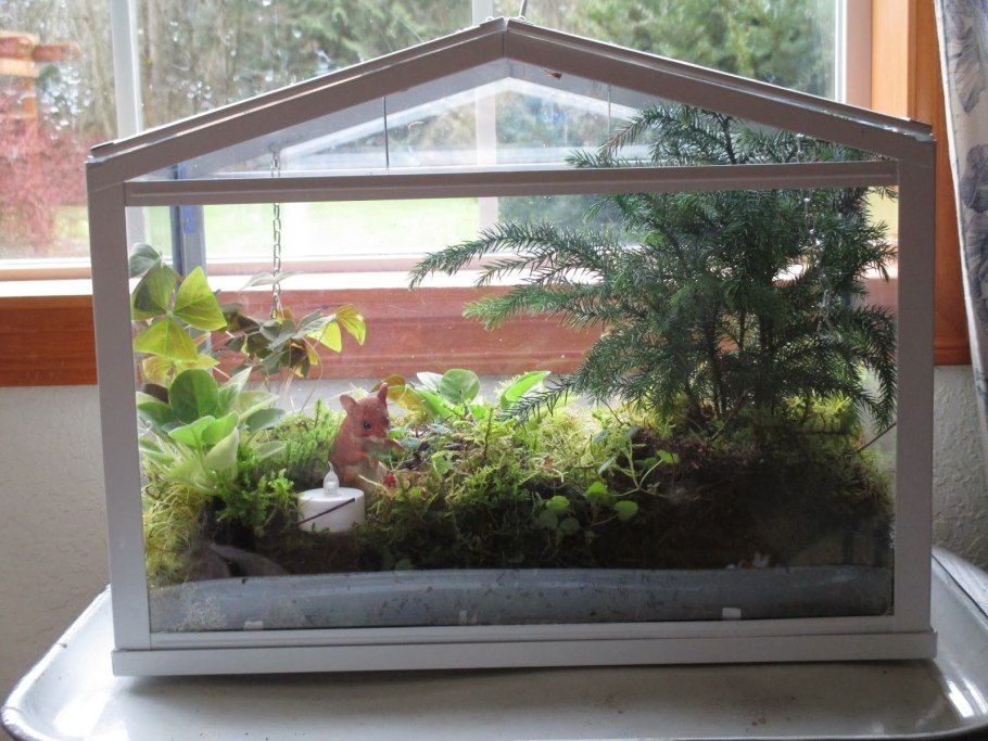 Флорариум из теплички икеа