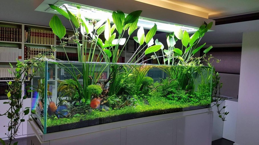 Фитофильтр для аквариума