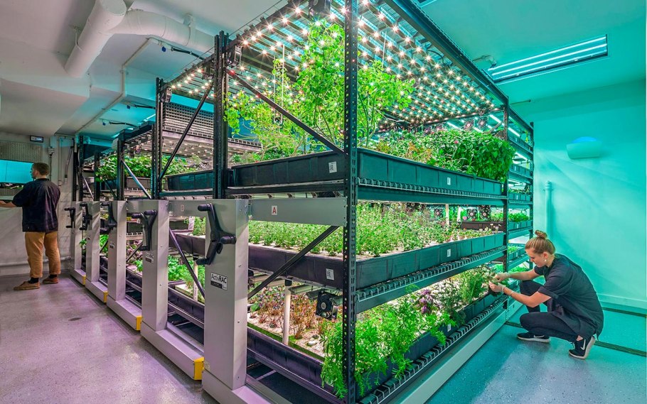 Вертикальная ферма РУСЭКО