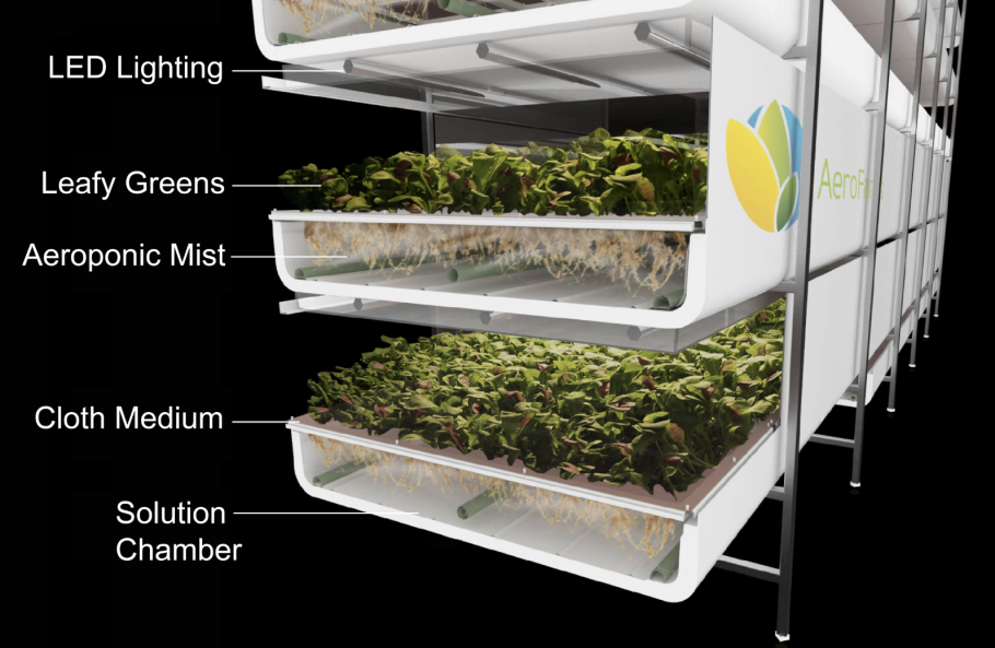 Гидропоника, аэропоника и Аквапоника