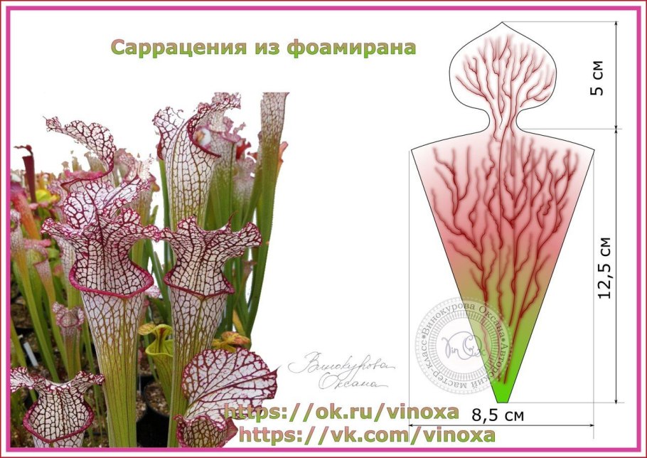 Табакум препарат гомеопатический