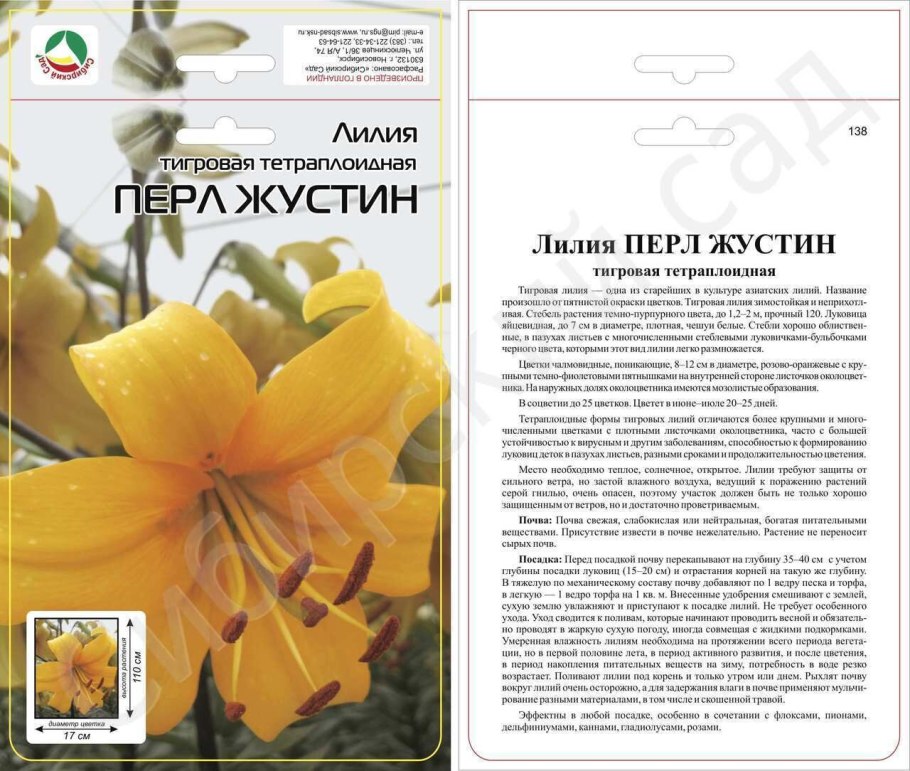Лилия тигровая Перл Стейси