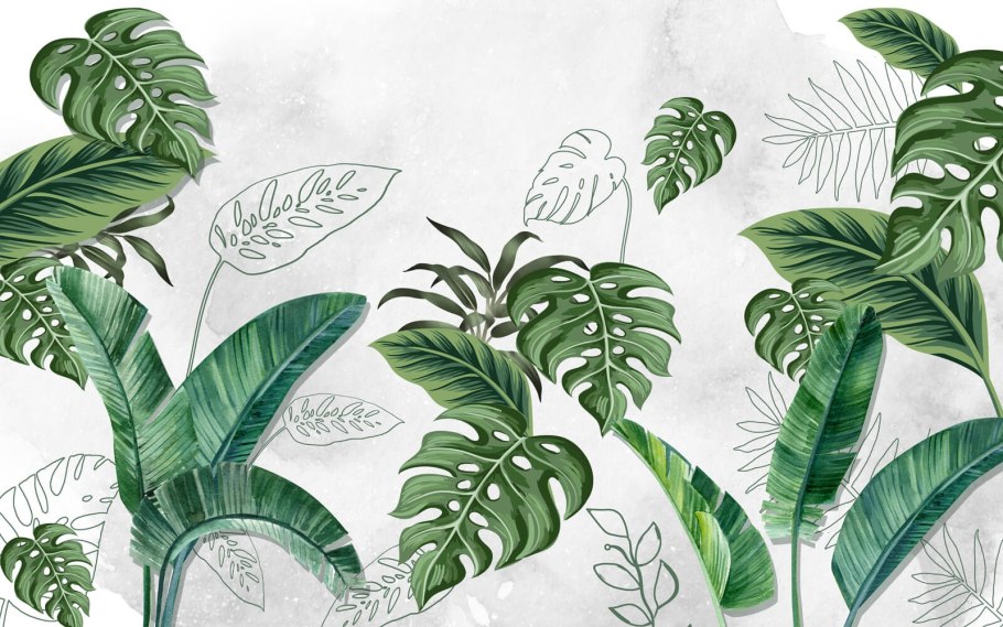 Обои с листьями монстеры