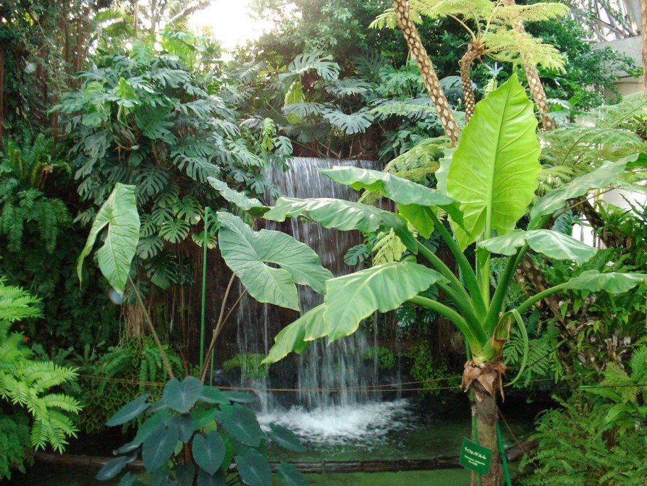 Yumenoshima Tropical