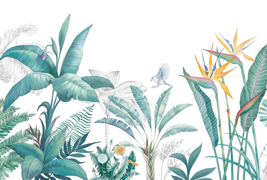 Тропические растения иллюстрации