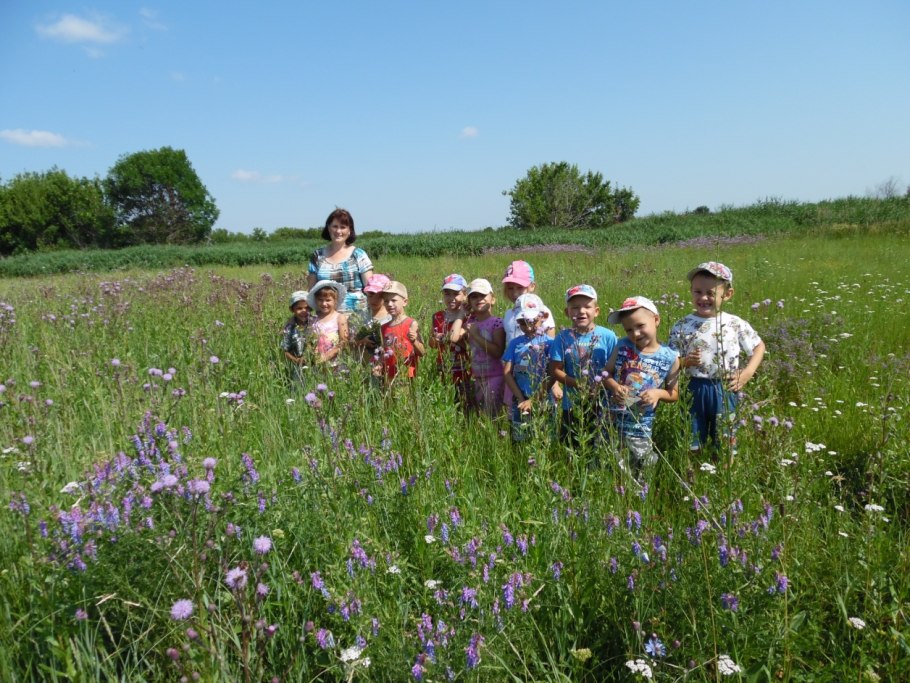 Прогулка на лугу