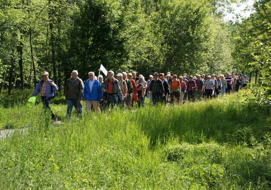 Пешая прогулка группа