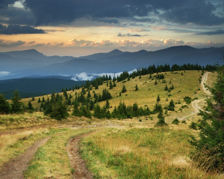 Предгорье Карпат