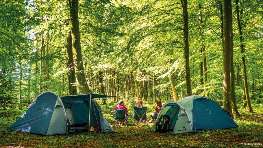 Палаточный лагерь в лесу