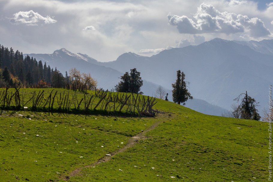 Альпийские Луга в Гималаях