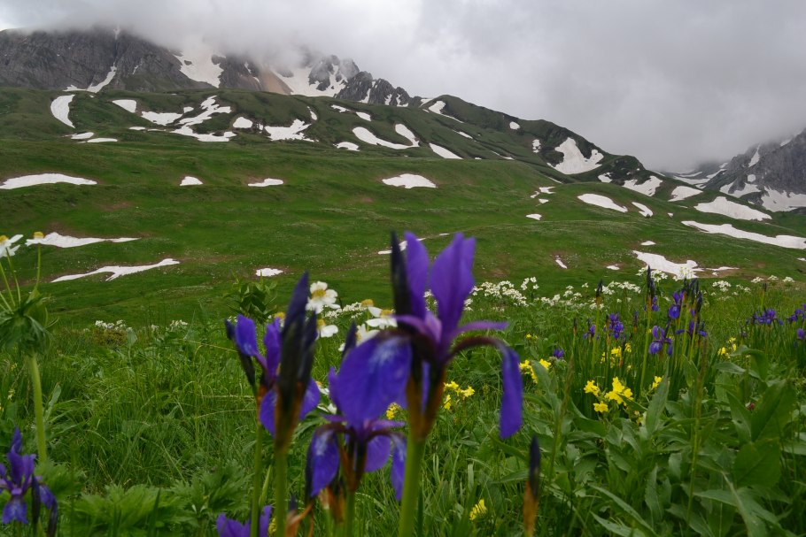 Плато Лаго-Наки Альпийские Луга