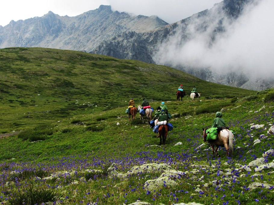 Конный поход горный Алтай