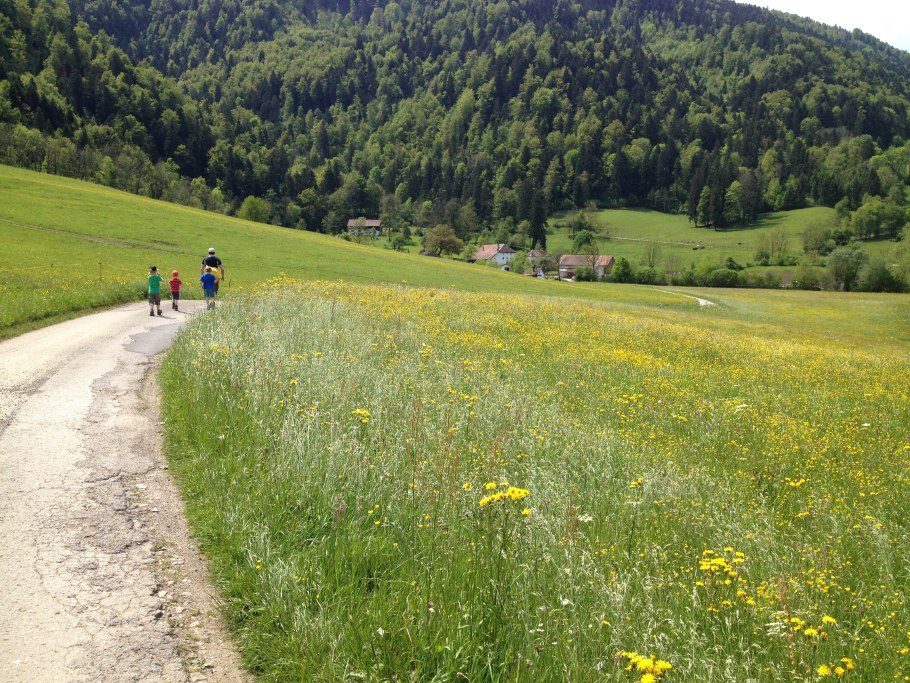 Луга туризм