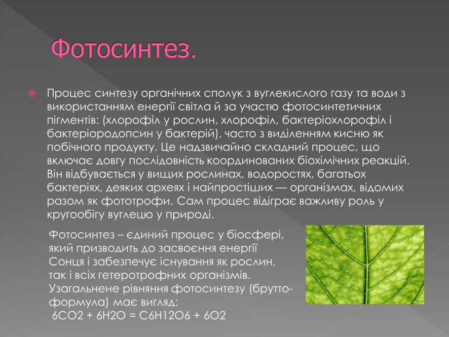 Понятие фотосинтеза