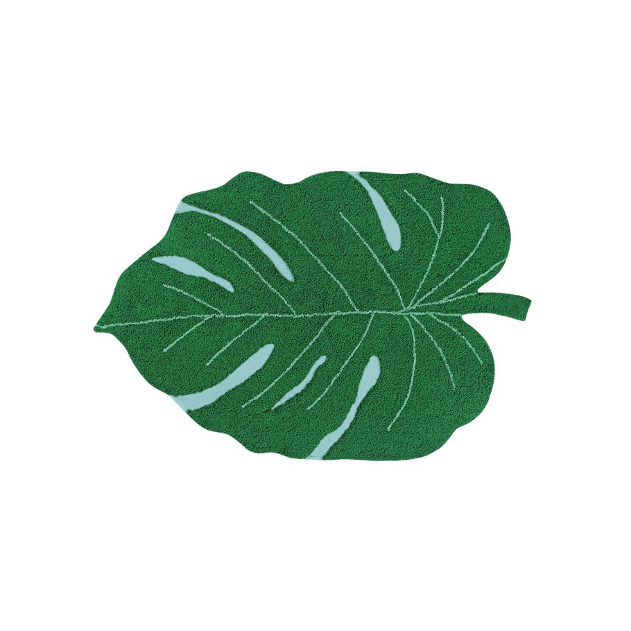 Monstera deliciosa or Swiss Cheese Plant Tropical leaves on Black background