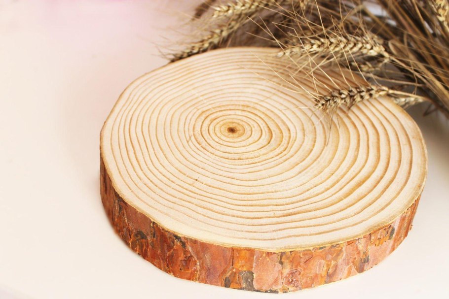 Срез дерева