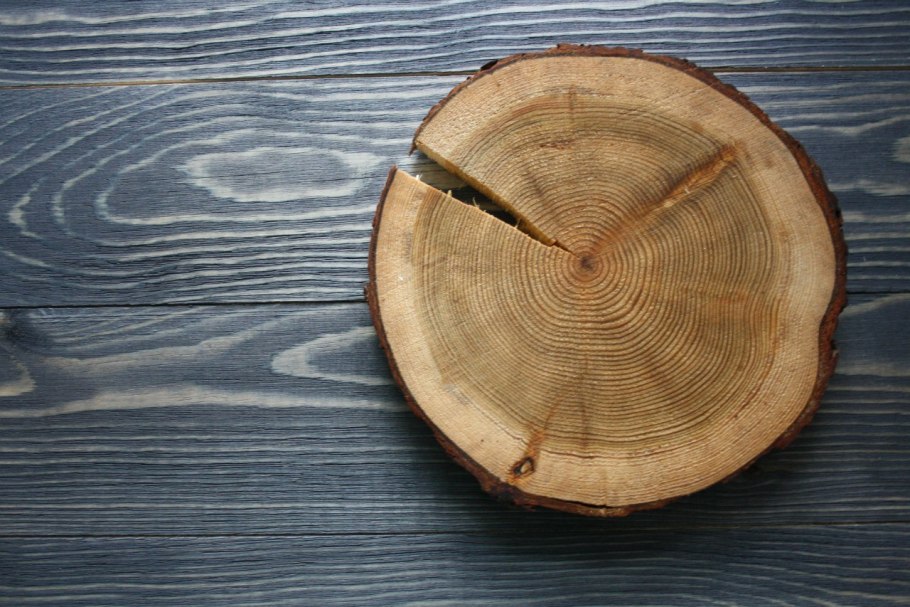 Сибирская лиственница спил