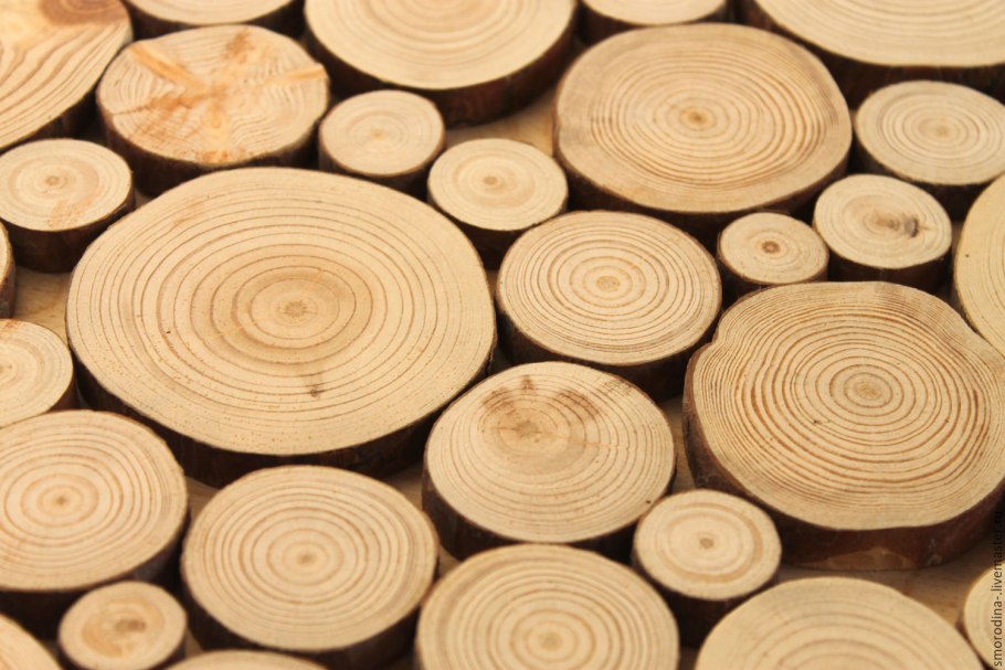 Ангарская сосна спил