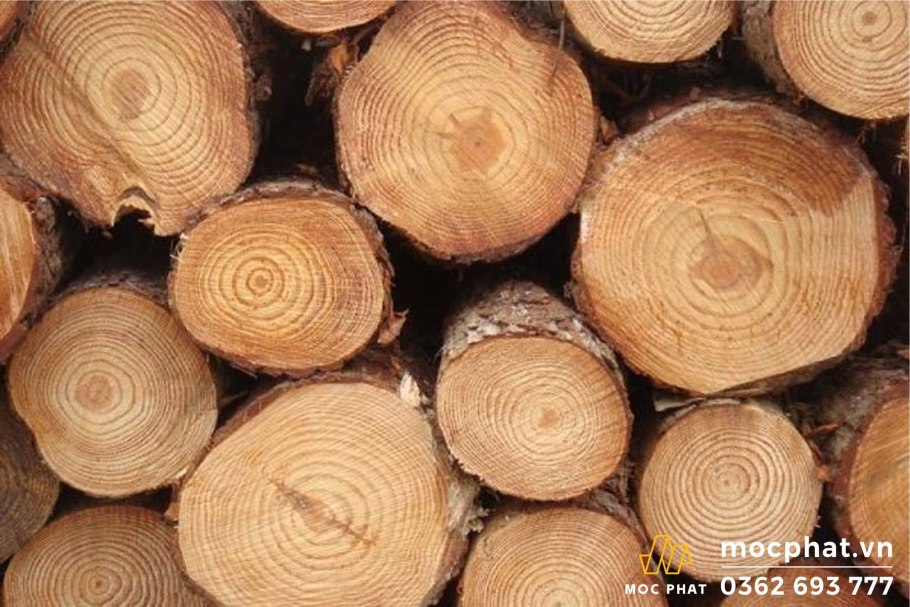 Бревно сосны