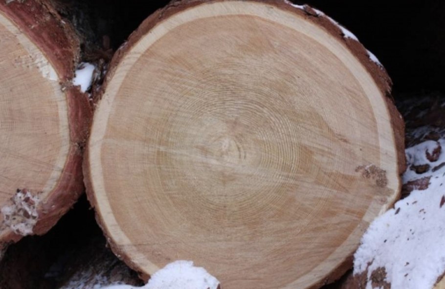 Кедр Сибирский древесина