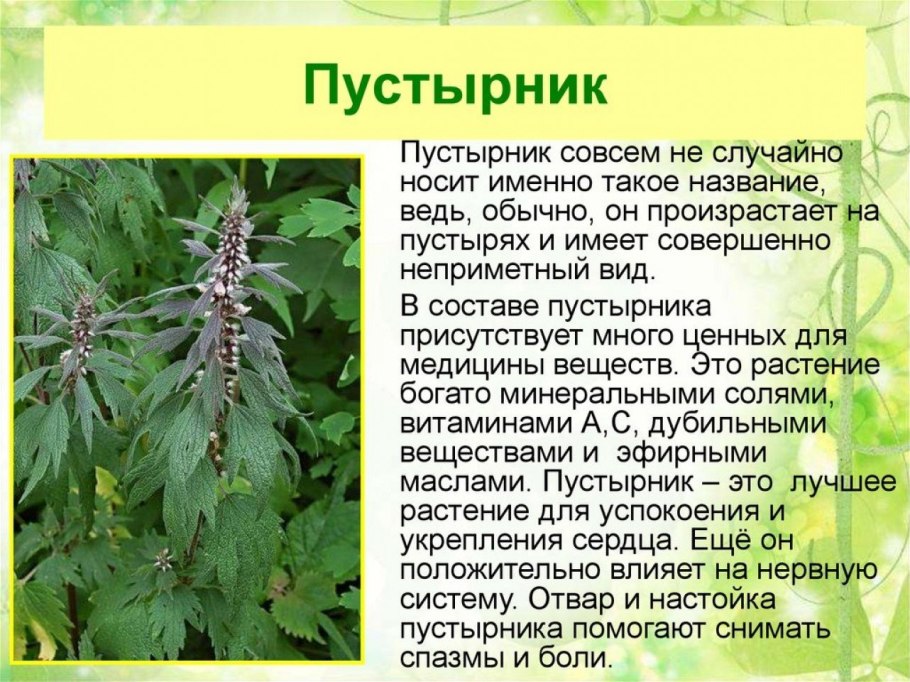 Разнотравье Кавказа