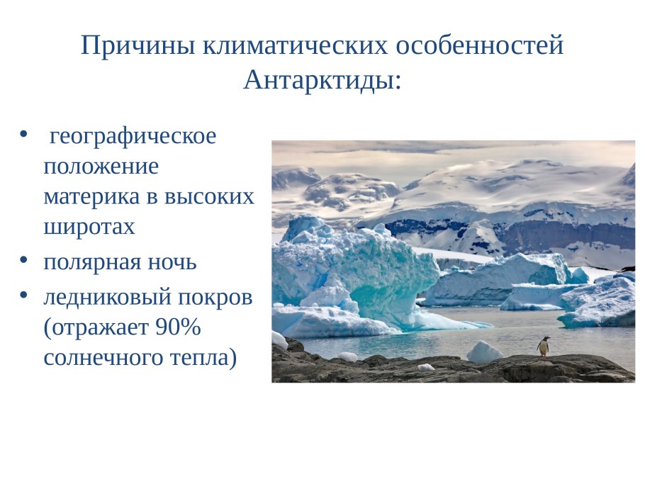Сфагнум Тундровый