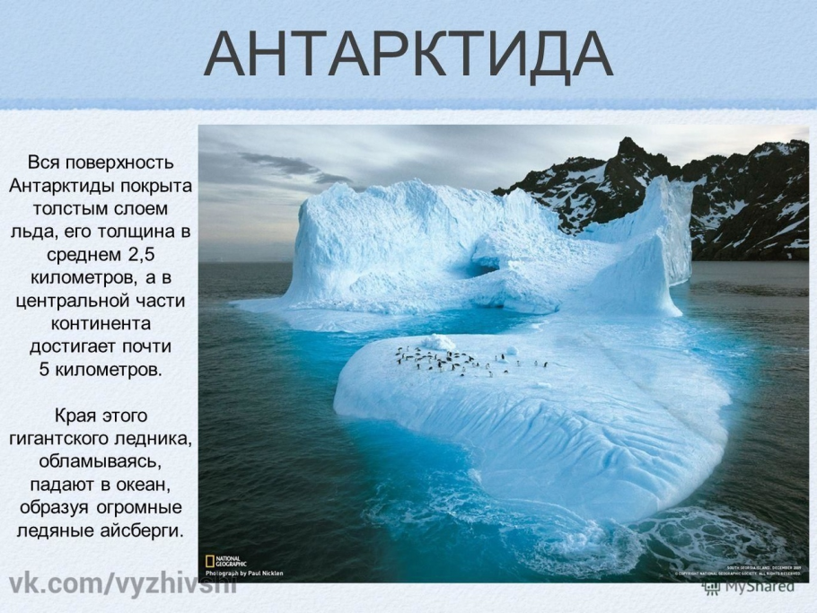 Антарктида для детей
