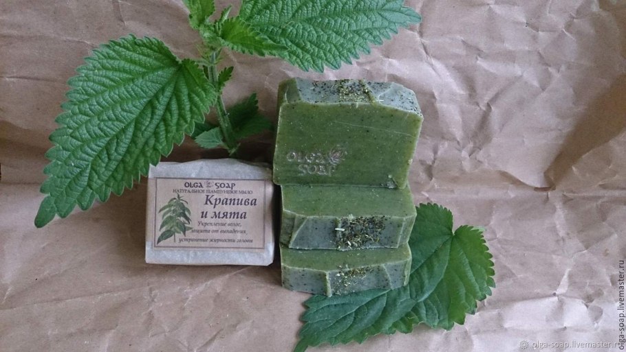 Крапива двудомная Ботанический рисунок