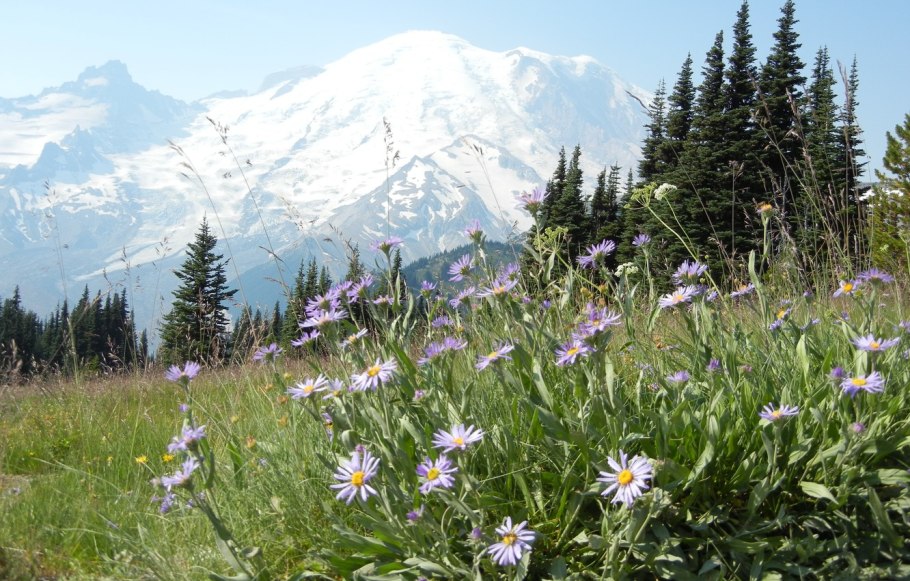 Альпийские Луга Приэльбрусья