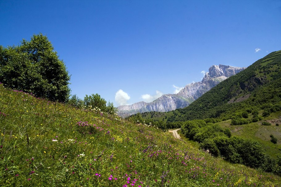 Дигорское ущелье Фиагдон