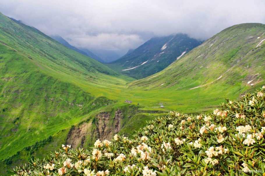 Красная Поляна Сочи Альпийские Луга