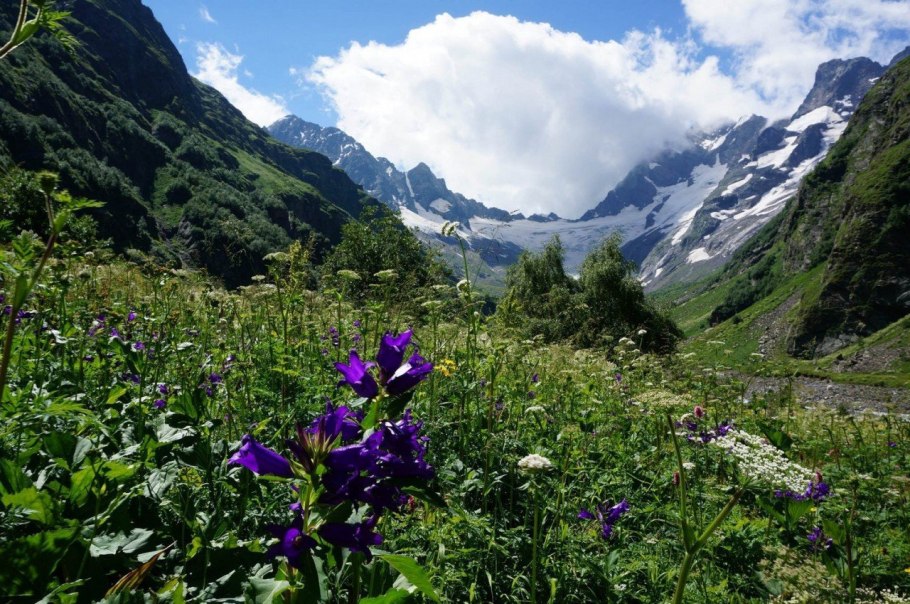 Домбай Альпийские Луга