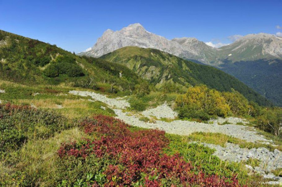 Белореченский перевал Адыгея