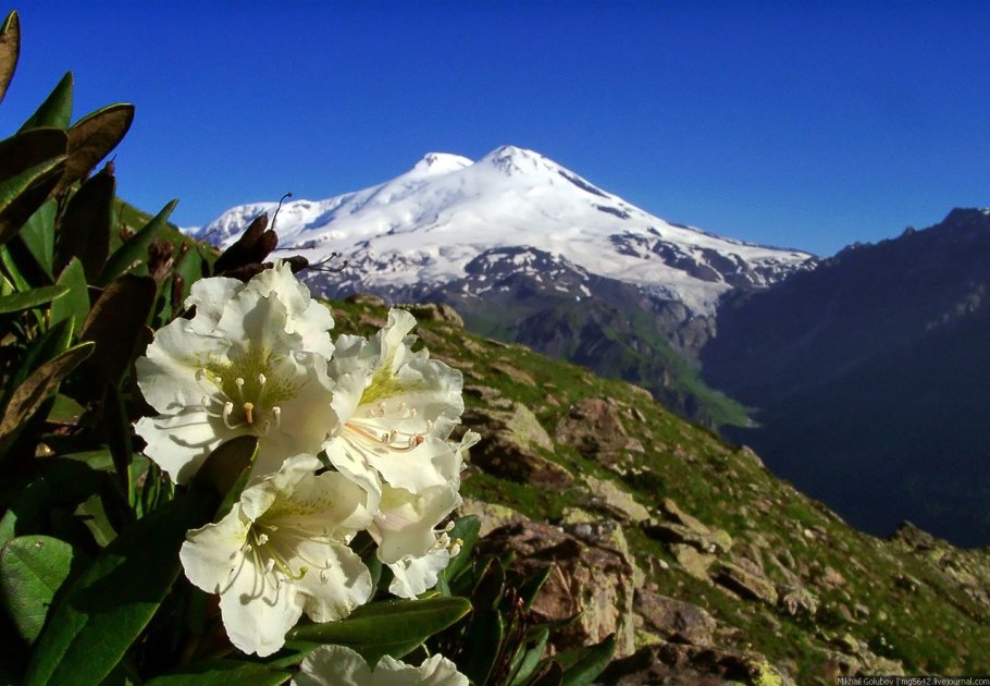 Национальный парк "Приэльбрусье" (Кабардино-Балкария)